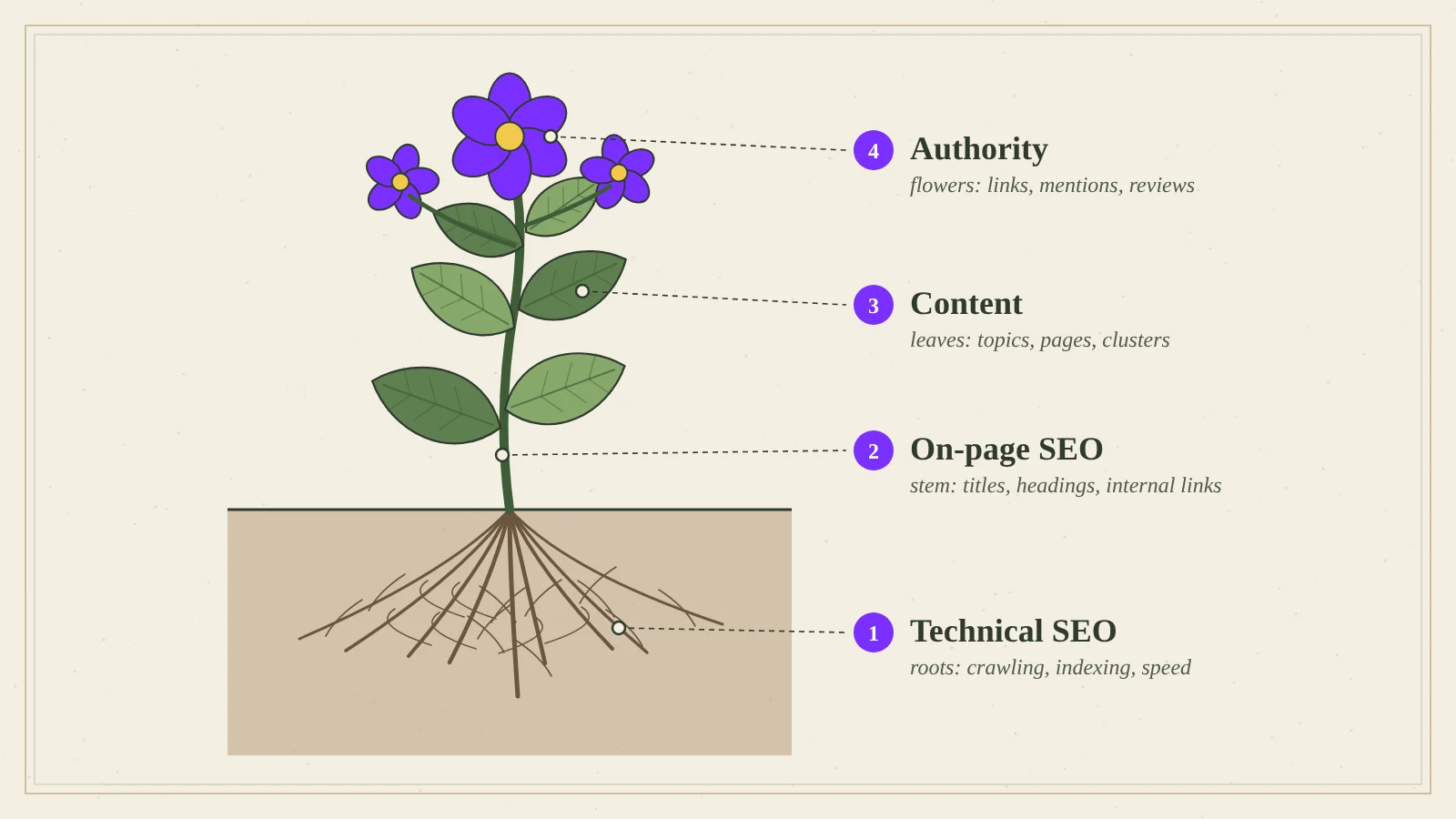 Botanical illustration of a plant with roots labelled technical SEO, stem on-page SEO, leaves content and flowers authority