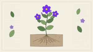 SEO strategy: how to build one that grows your business
