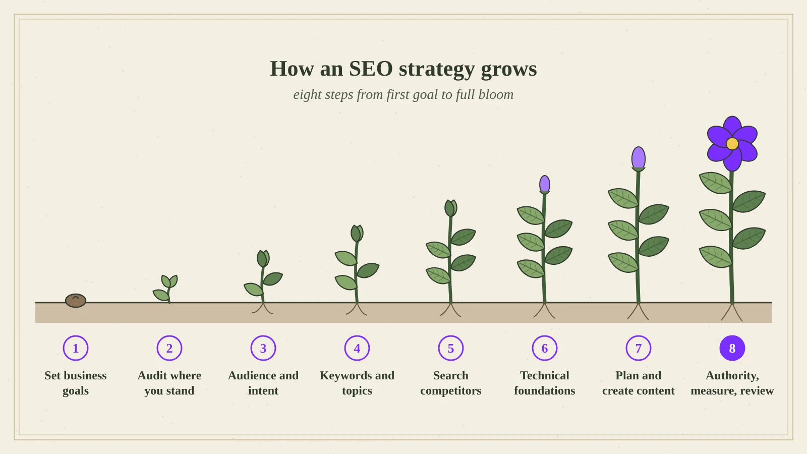 Botanical illustration of eight growth stages from seed to flowering plant, each labelled with one SEO strategy step